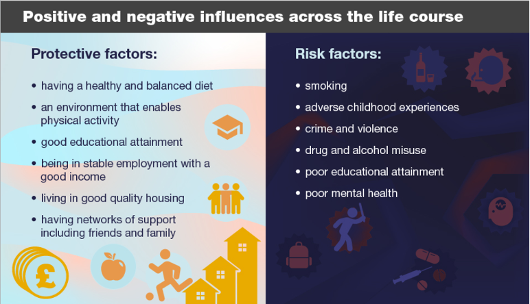 Positive and Negative iflucences accross the life course