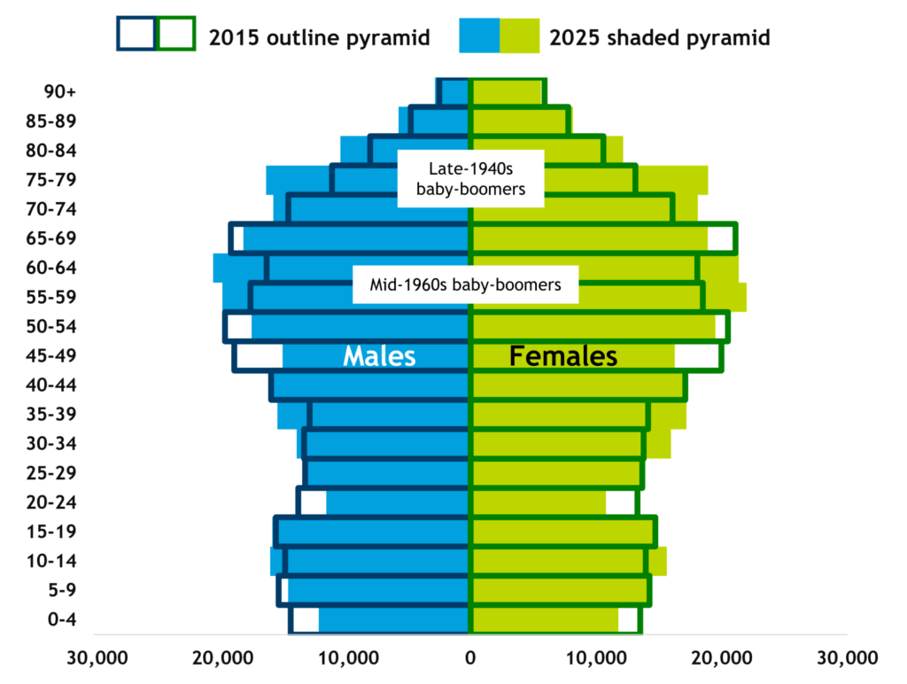 Population pyramid showing population change between 2015 and 2025, for males (LHS) and females (RHS) by 5-year age groups. The pyramid shows how the population has risen among people born in the two 'baby booms' of the post-war period, the late 1940s, who are now in their late 70s and early 80s, and those born in the mid 1960s, who are now reaching their 60s. It also shows how there are fewer people in their late 40s, fewer young adults aged 20-24, and fewer children aged 0-4.